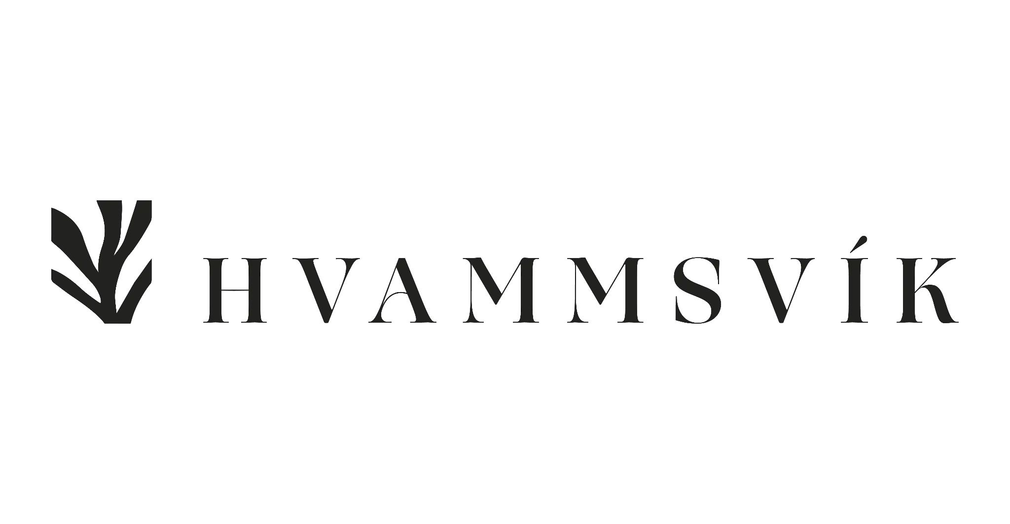 https://hvammsvik.is/